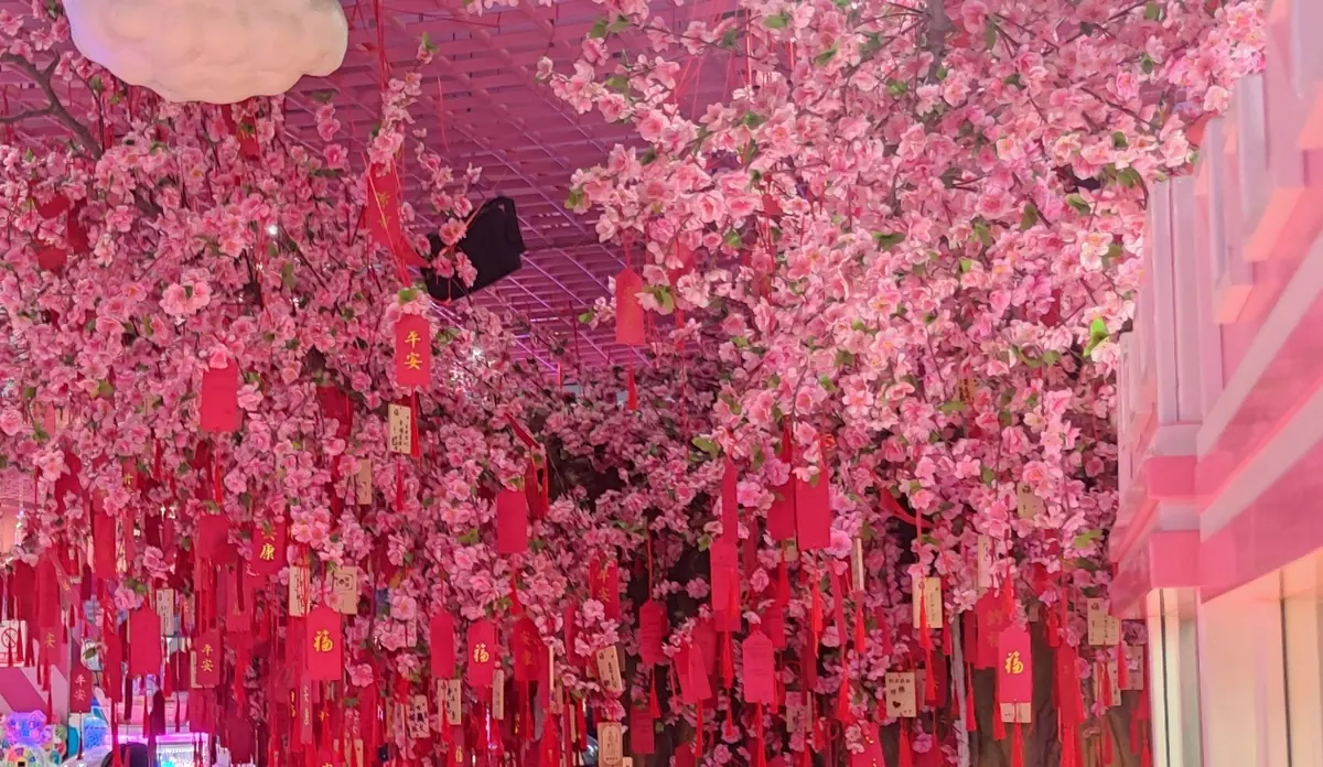 Pink artificial blossoms hanging overhead in an indoor space.