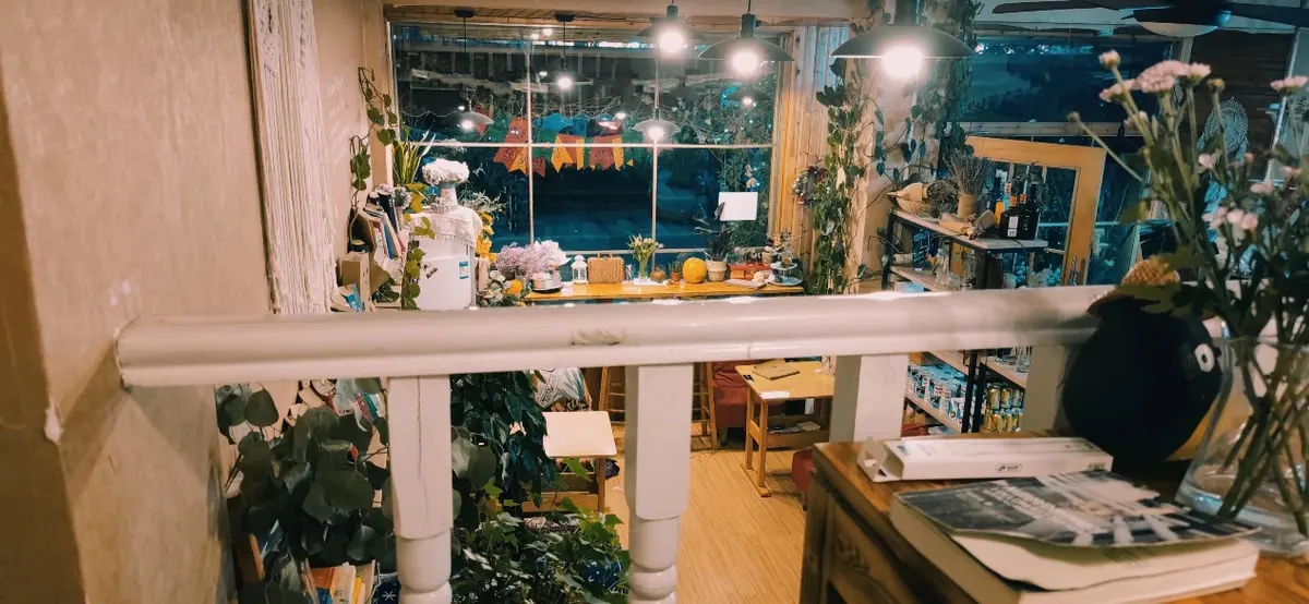A warmly lit indoor display with plants and shelves.