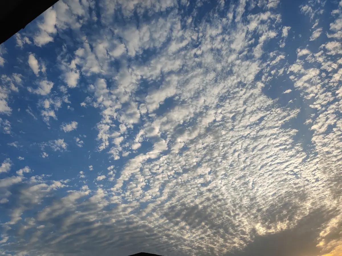 A sky filled with rippled clouds at sunset.