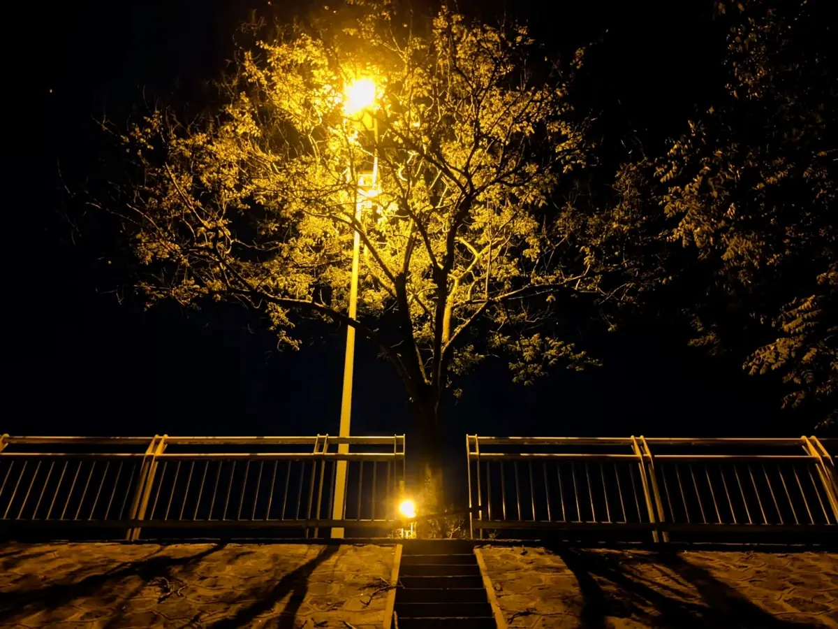 A streetlamp glowing above trees at night.